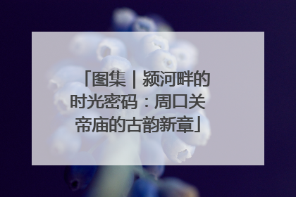 图集｜颍河畔的时光密码：周口关帝庙的古韵新章