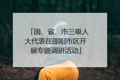 国、省、市三级人大代表在邵阳市区开展专题调研活动
