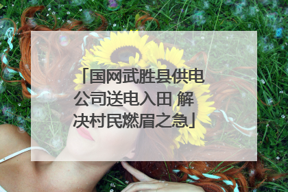国网武胜县供电公司送电入田 解决村民燃眉之急