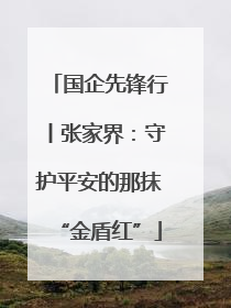 国企先锋行丨张家界：守护平安的那抹“金盾红”