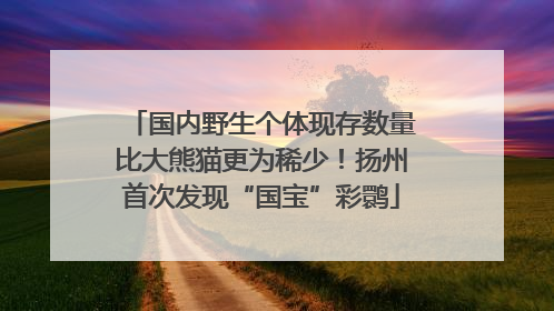 国内野生个体现存数量比大熊猫更为稀少！扬州首次发现“国宝”彩鹮