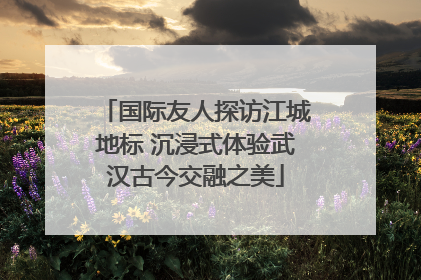 国际友人探访江城地标 沉浸式体验武汉古今交融之美