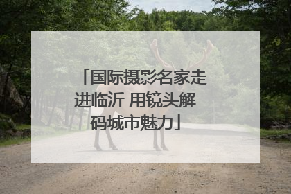 国际摄影名家走进临沂 用镜头解码城市魅力