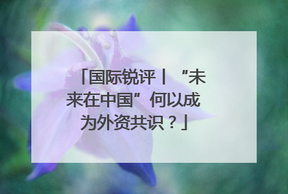 国际锐评丨“未来在中国”何以成为外资共识？