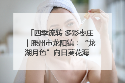 四季流转 多彩枣庄｜滕州市龙阳镇：“龙湖月色”向日葵花海 绘就乡村振兴新画卷