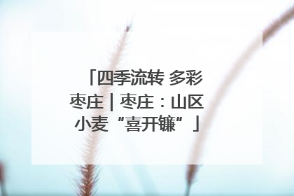 四季流转 多彩枣庄｜枣庄：山区小麦“喜开镰”