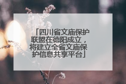 四川省文庙保护联盟在德阳成立，将建立全省文庙保护信息共享平台