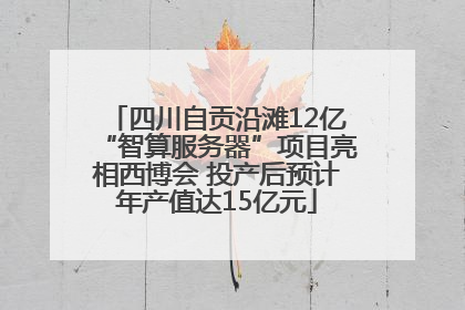 四川自贡沿滩12亿“智算服务器”项目亮相西博会 投产后预计年产值达15亿元
