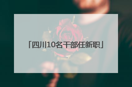 四川10名干部任新职