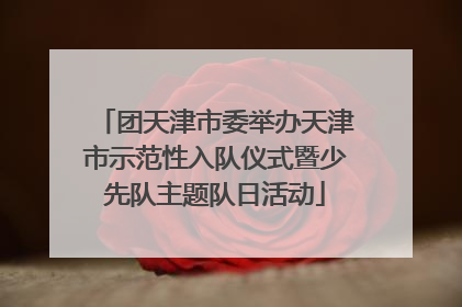 团天津市委举办天津市示范性入队仪式暨少先队主题队日活动