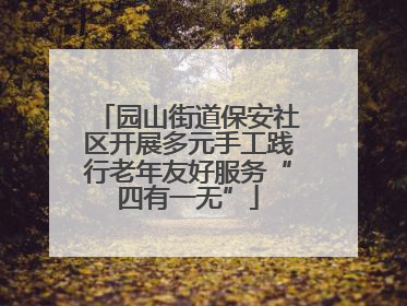 园山街道保安社区开展多元手工践行老年友好服务“四有一无”
