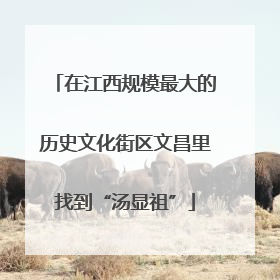 在江西规模最大的历史文化街区文昌里找到“汤显祖”