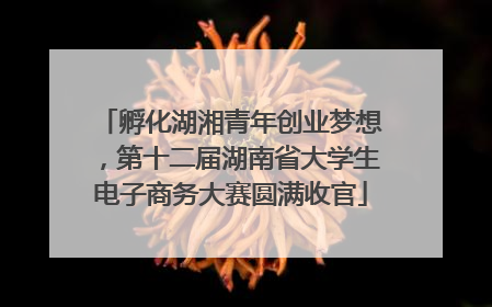 孵化湖湘青年创业梦想，第十二届湖南省大学生电子商务大赛圆满收官