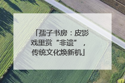 孺子书房：皮影戏里赏“非遗”，传统文化焕新机