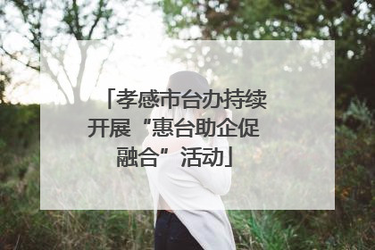 孝感市台办持续开展“惠台助企促融合”活动