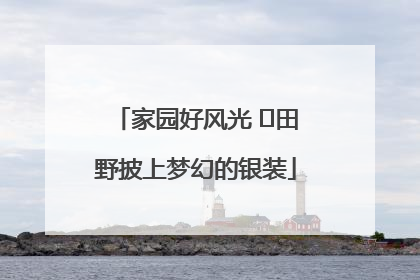 家园好风光 ⎮田野披上梦幻的银装