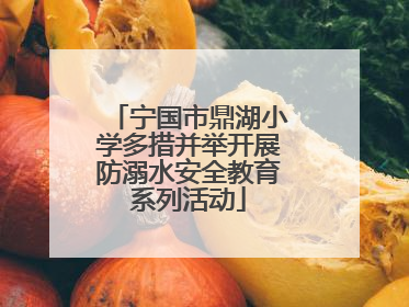 宁国市鼎湖小学多措并举开展防溺水安全教育系列活动