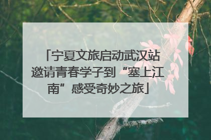 宁夏文旅启动武汉站 邀请青春学子到“塞上江南”感受奇妙之旅