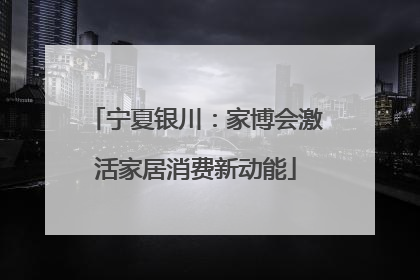 宁夏银川：家博会激活家居消费新动能