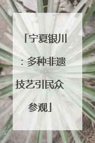 宁夏银川：多种非遗技艺引民众参观