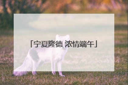 宁夏隆德 浓情端午