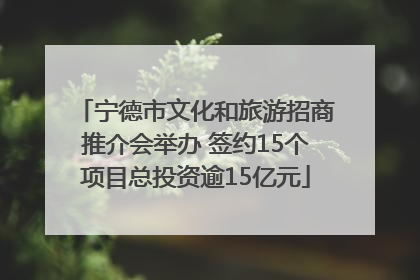宁德市文化和旅游招商推介会举办 签约15个项目总投资逾15亿元