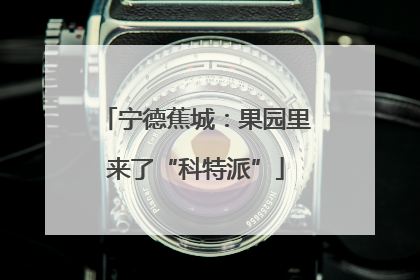 宁德蕉城：果园里来了“科特派”