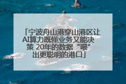 宁波舟山港穿山港区让AI算力既懂业务又能决策 20年的数据“喂”出更聪明的港口