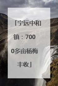 宁远中和镇：7000多亩杨梅丰收