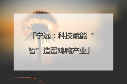宁远：科技赋能“智”造蛋鸡鸭产业