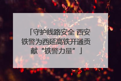 守护线路安全 西安铁警为西延高铁开通贡献“铁警力量”