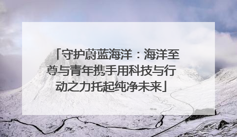 守护蔚蓝海洋：海洋至尊与青年携手用科技与行动之力托起纯净未来