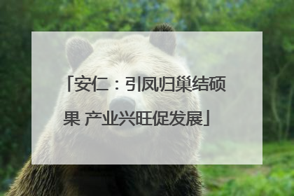 安仁：引凤归巢结硕果 产业兴旺促发展