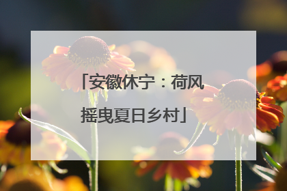 安徽休宁：荷风摇曳夏日乡村