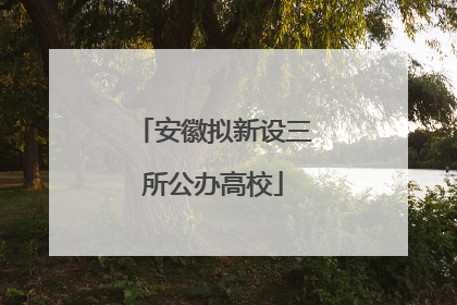 安徽拟新设三所公办高校