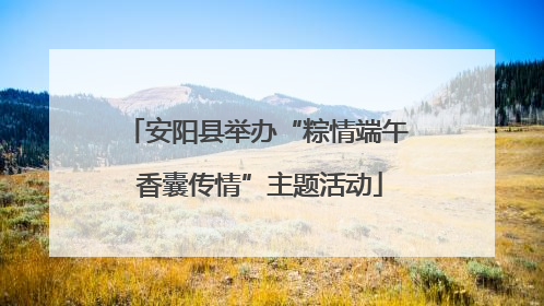 安阳县举办“粽情端午 香囊传情”主题活动