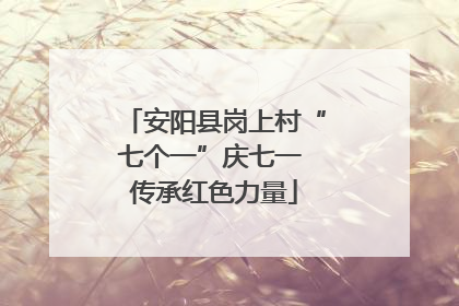 安阳县岗上村“七个一”庆七一 传承红色力量