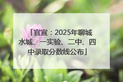 官宣：2025年聊城水城、一实验、二中、四中录取分数线公布