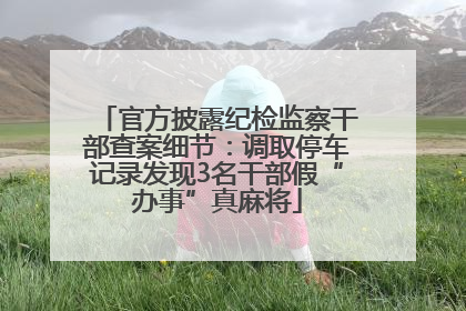 官方披露纪检监察干部查案细节：调取停车记录发现3名干部假“办事”真麻将
