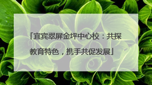 宜宾翠屏金坪中心校：共探教育特色，携手共促发展