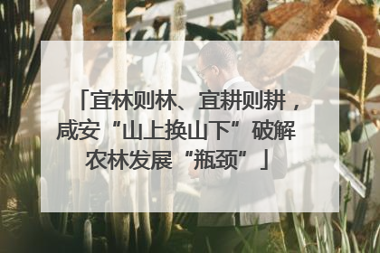 宜林则林、宜耕则耕，咸安“山上换山下”破解农林发展“瓶颈”