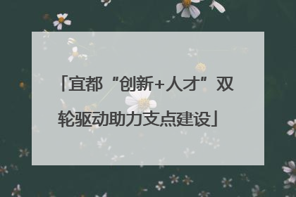 宜都“创新+人才”双轮驱动助力支点建设