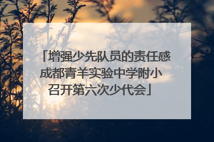 增强少先队员的责任感 成都青羊实验中学附小召开第六次少代会