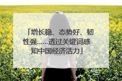 增长稳、态势好、韧性强……透过关键词感知中国经济活力