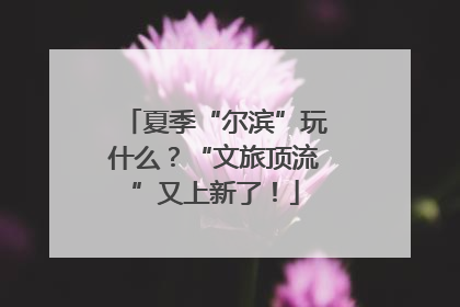 夏季“尔滨”玩什么？“文旅顶流”又上新了！