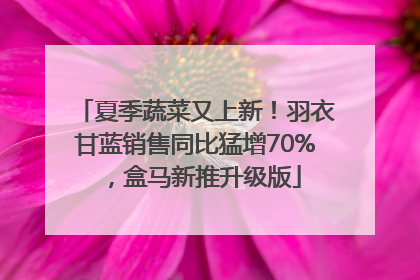 夏季蔬菜又上新！羽衣甘蓝销售同比猛增70%，盒马新推升级版