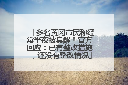 多名黄冈市民称经常半夜被臭醒！官方回应：已有整改措施，还没有整改情况