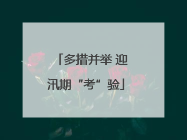 多措并举 迎汛期“考”验