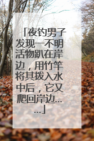 夜钓男子发现一不明活物趴在岸边，用竹竿将其拨入水中后，它又爬回岸边……