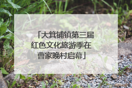 大箕铺镇第三届红色文化旅游季在曹家晚村启幕